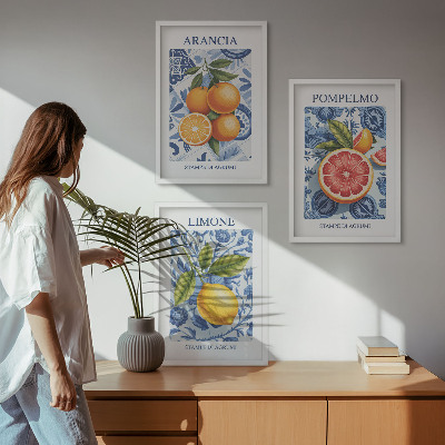 Wall art set Citrus Fruit Vintage Illustrations