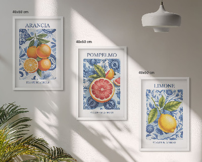 Wall art set Citrus Fruit Vintage Illustrations