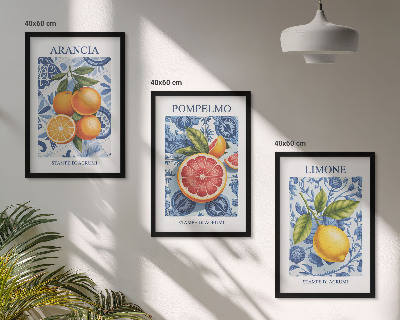 Wall art set Citrus Fruit Vintage Illustrations