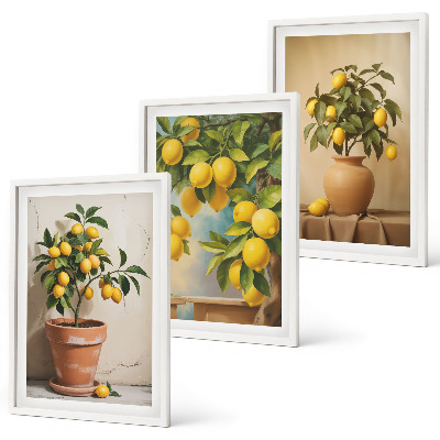 Set of 3 framed wall art pieces Lemon trees in a pot and a vase
