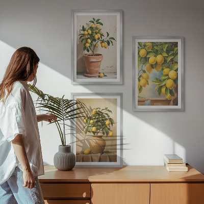 Set of 3 framed wall art pieces Lemon trees in a pot and a vase