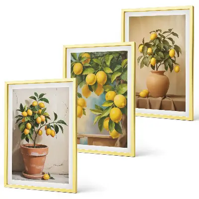 Set of 3 framed wall art pieces featuring lemon trees in a pot and a vase
