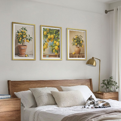 Set of 3 framed wall art pieces Lemon trees in a pot and a vase