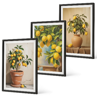 Set of 3 framed wall art pieces Lemon trees in a pot and a vase
