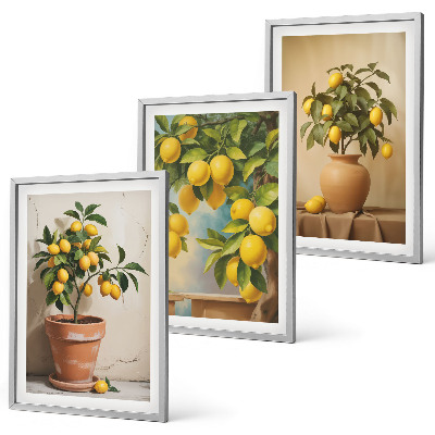 Set of 3 framed wall art pieces Lemon trees in a pot and a vase