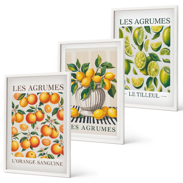 Wall art set Citrus fruits in colorful versions