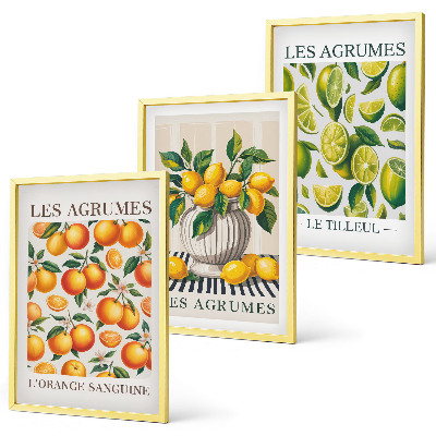 Wall art set Citrus fruits in colorful versions