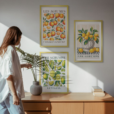 Wall art set Citrus fruits in colorful versions