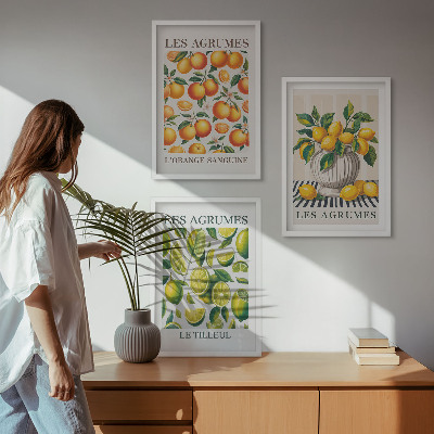 Wall art set Citrus fruits in colorful versions