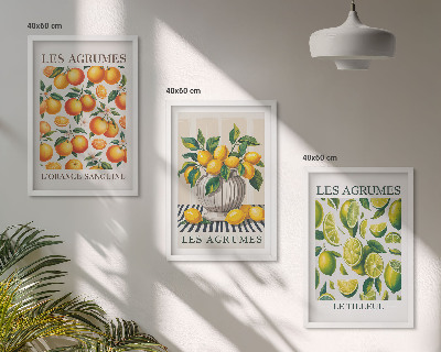 Wall art set Citrus fruits in colorful versions
