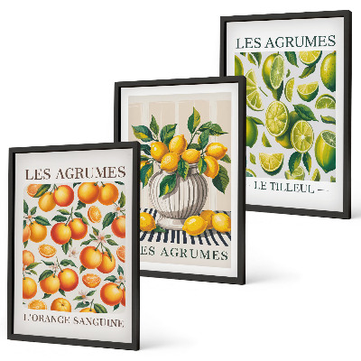 Wall art set Citrus fruits in colorful versions
