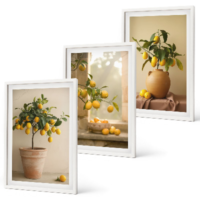 Three-piece wall art piece Lemon trees in pots