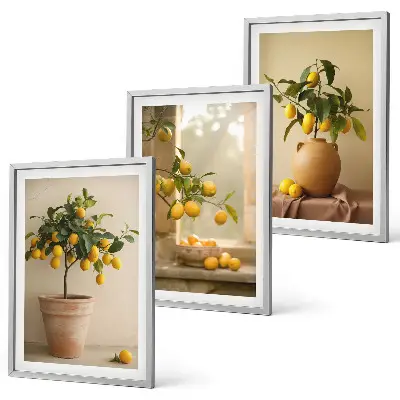 Lemon trees in pots three-piece wall art set