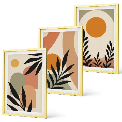 Set of 3 framed wall art pieces Abstract plant shapes