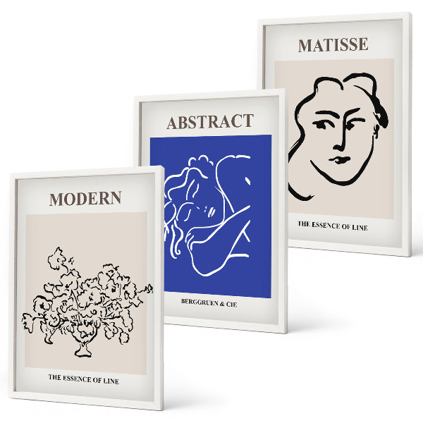 Three-piece wall art piece Matisse's modern posters