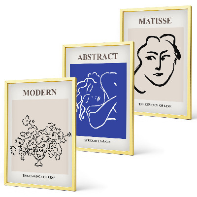 Three-piece wall art piece Matisse's modern posters