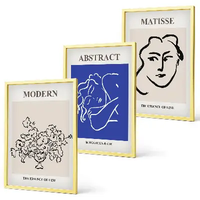 Three-piece Matisse wall art set modern posters