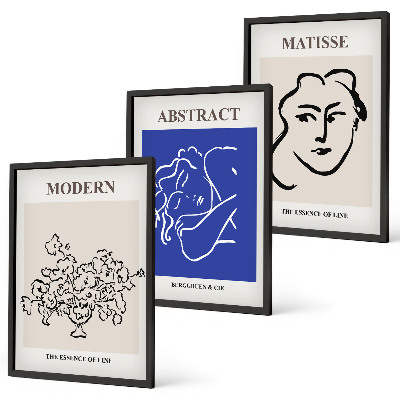 Three-piece wall art piece Matisse's modern posters