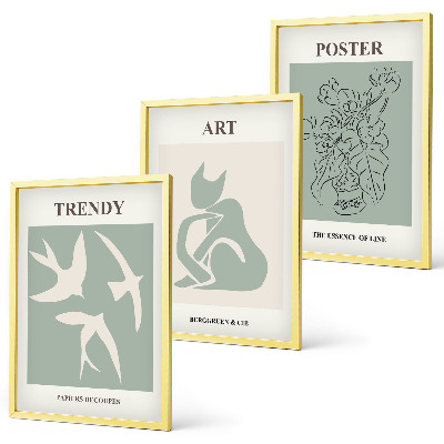 Set of 3 framed wall art pieces Matisse's stylish illustrations