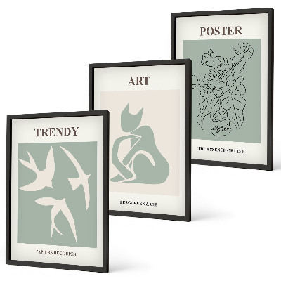 Set of 3 framed wall art pieces Matisse's stylish illustrations