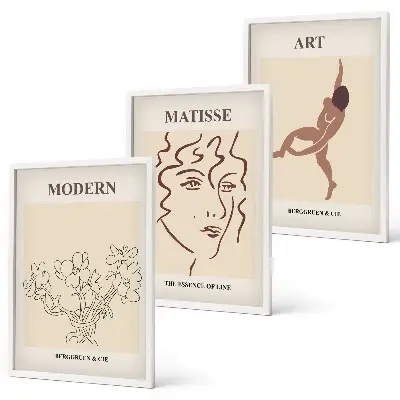 Three-piece floral wall art set stylish graphic flower illustrations