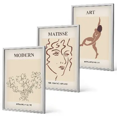 Three-piece floral wall art set stylish graphic flower illustrations