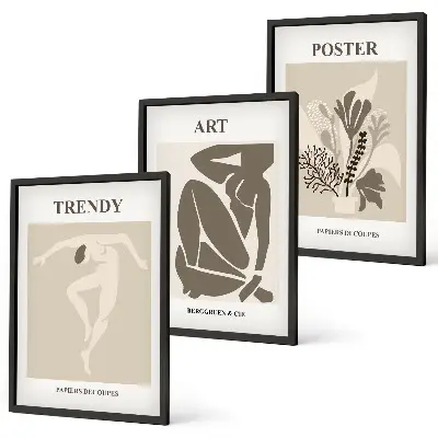 Matisse Plant Figures wall art three-piece set