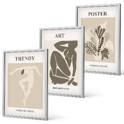 Three-piece wall art piece Matisse's Plant Figures
