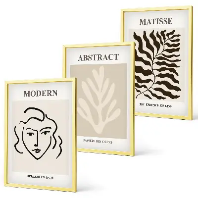 Matisse Face and Leaves Wall Art set of 3 framed prints
