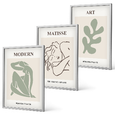 Three-piece wall art piece Stylish plant characters design