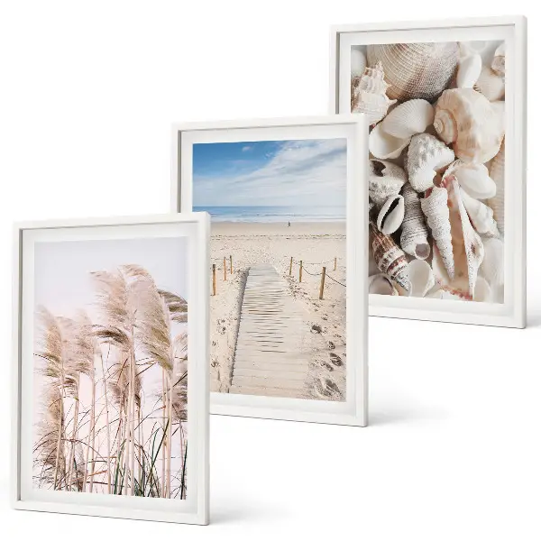 Three-piece wall art set beach shells and sea grass design