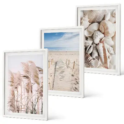 Three-piece wall art set beach shells and sea grass design