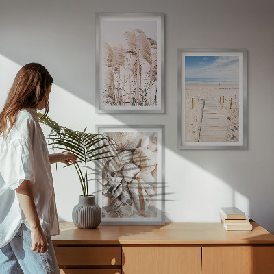 Three-piece wall art piece Beach shells sea grass