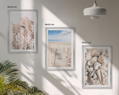 Three-piece wall art piece Beach shells sea grass