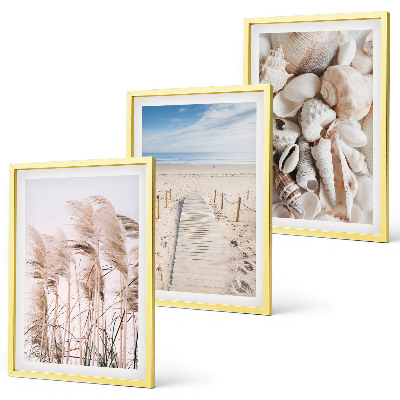 Three-piece wall art piece Beach shells sea grass