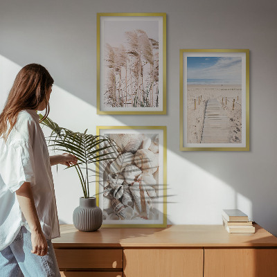 Three-piece wall art piece Beach shells sea grass
