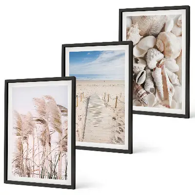 Three-piece wall art set beach shells and sea grass design