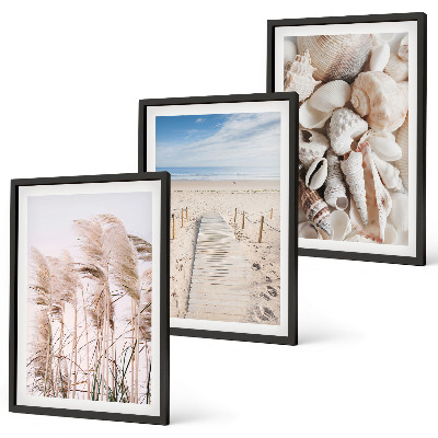 Three-piece wall art piece Beach shells sea grass