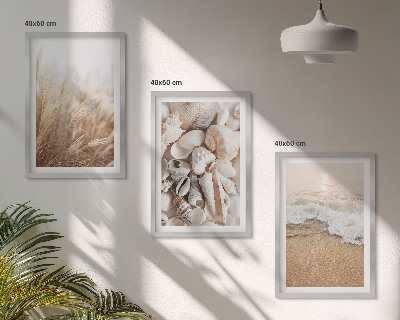 Wall art set Beach motifs, shells, waves
