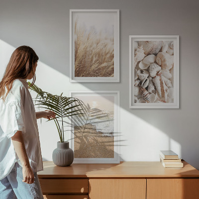 Wall art set Beach motifs, shells, waves