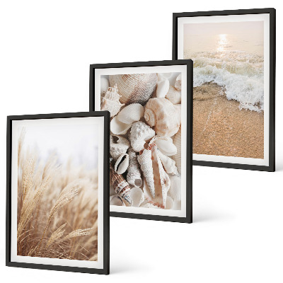 Wall art set Beach motifs, shells, waves
