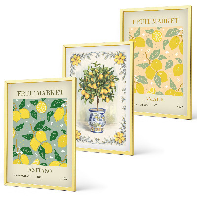 Three-piece wall art piece Citrus tree fruit Italy