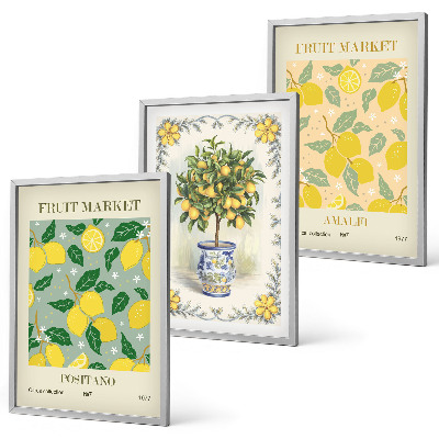 Three-piece wall art piece Citrus tree fruit Italy