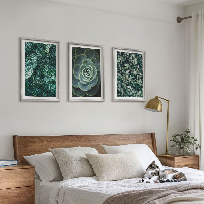 Wall art set Succulents
