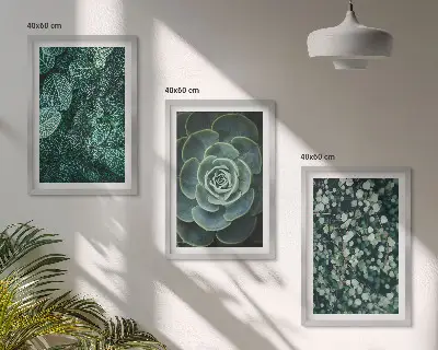 Succulent wall art set