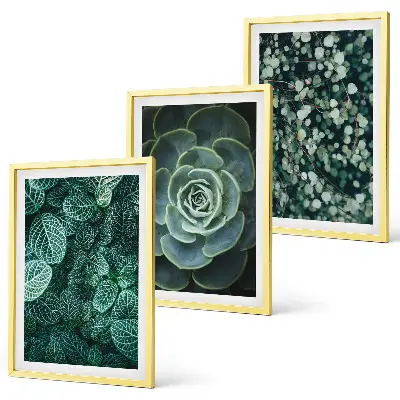 Succulent wall art set
