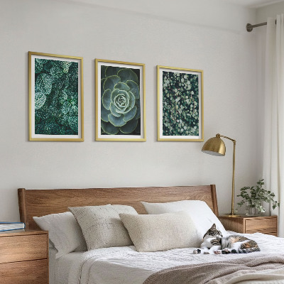 Wall art set Succulents