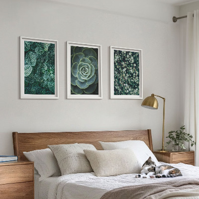 Wall art set Succulents
