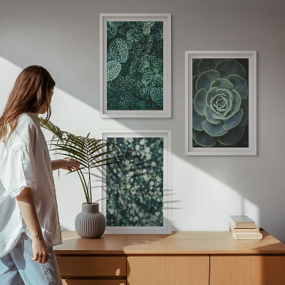 Wall art set Succulents