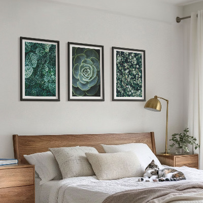 Wall art set Succulents